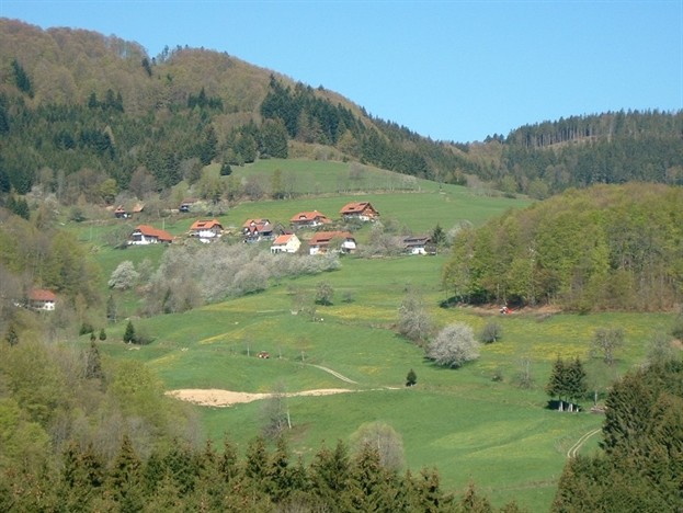 Raich vom Burstel aus (ZOOM)