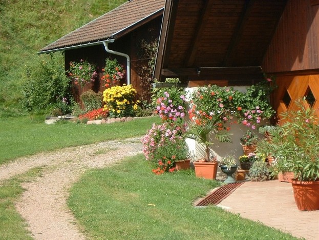 Blumenpracht