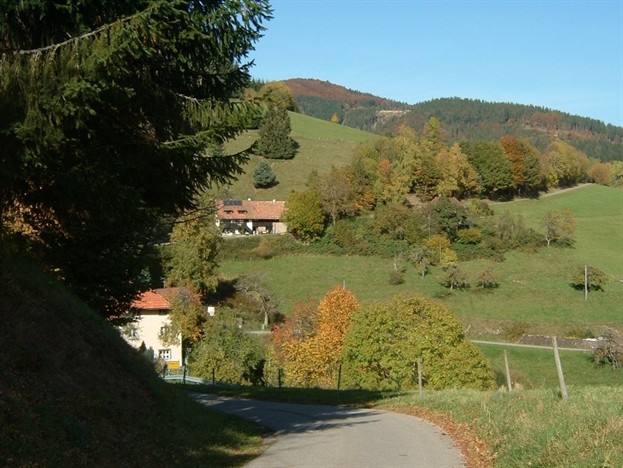 Die ersten Herbstfarben