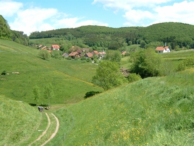 Feldweg Richtung Ried