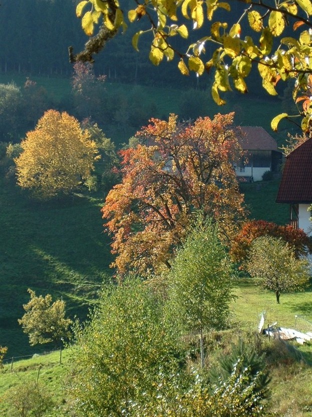 Herbstfarben