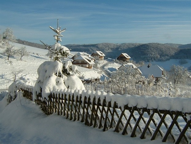 Breigen in Weiss