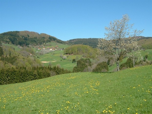 Raich vom Burstel aus