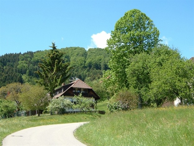 Hof in Raich